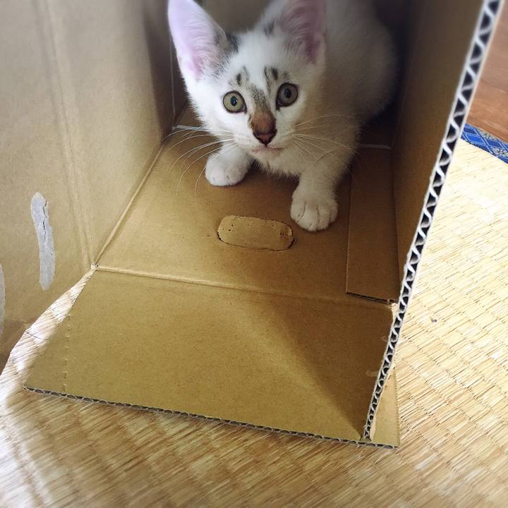 Cdb42c9a 0138 44a9 a138 f7c61baf20b4