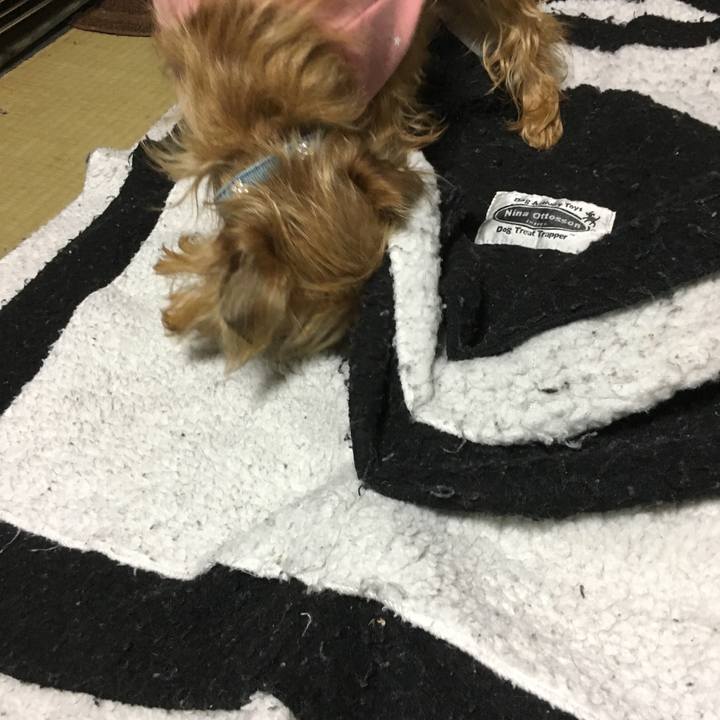 Cdb43dc8 4b35 4952 b4af 4750b83144c5