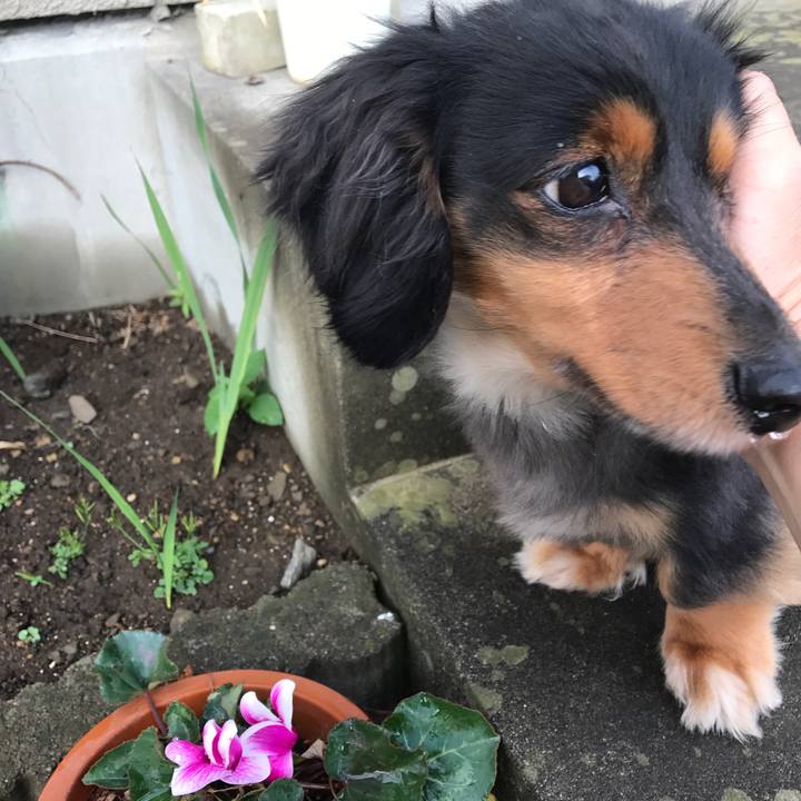 Cdb47a5e c26f 42fd 94bf 30d593c86499