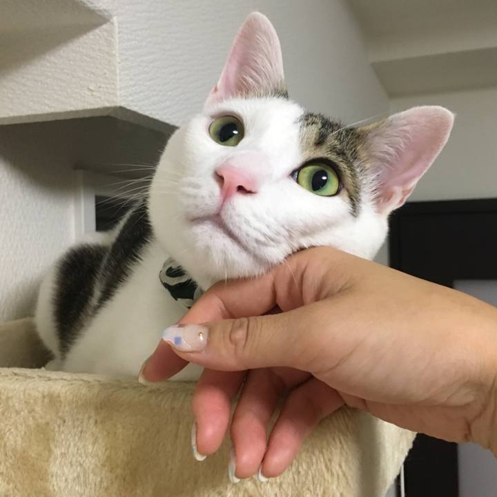 Cdb4f3fd e6bb 4aa2 bd06 5faf953c60c6