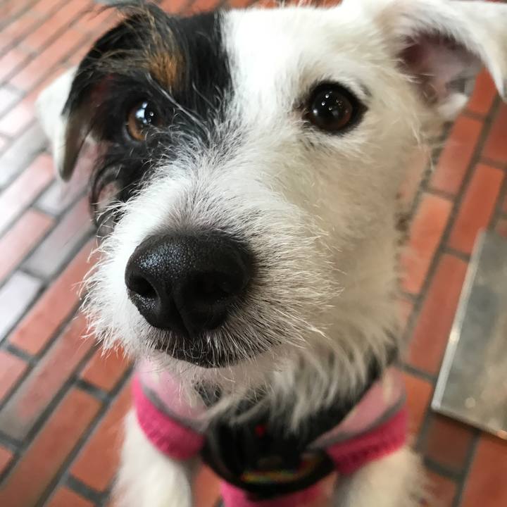 Cdb513d2 708c 4734 85d7 738529b78b2e