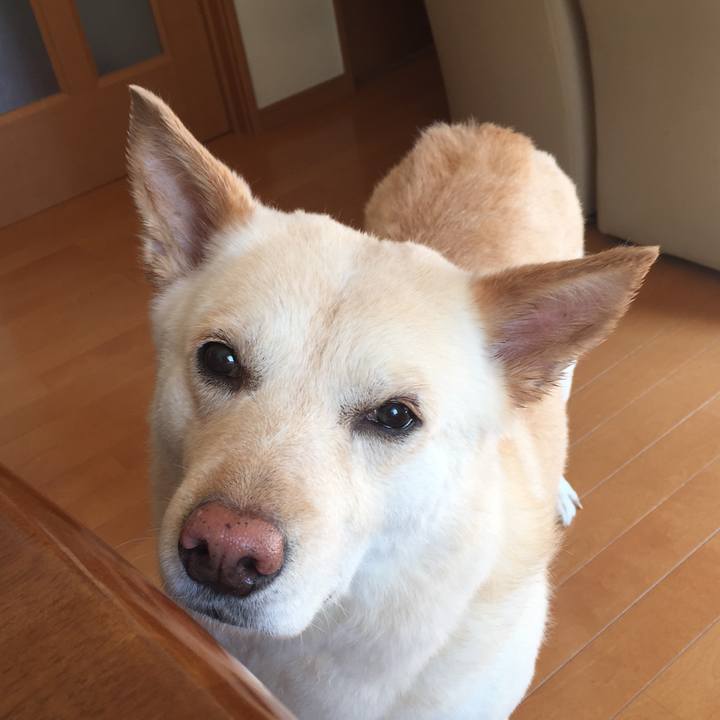 Cdb5c1c6 1132 49b7 a3bb 0f3a5c97b541