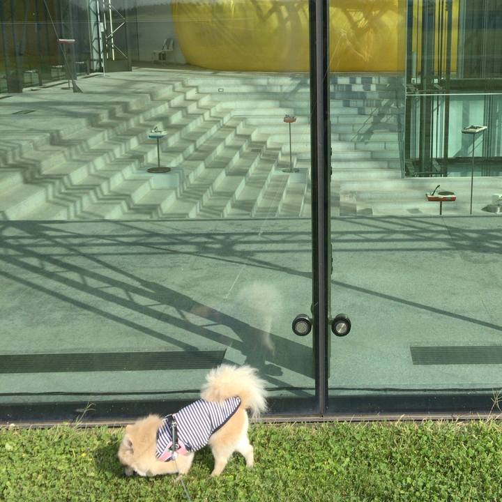 Cdb5c229 294d 4541 828a 3b6f49eecb4a