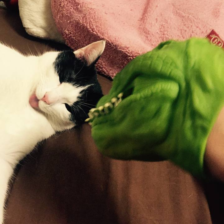 Cdb6a987 2ef7 4b31 b519 d183e006bbc1