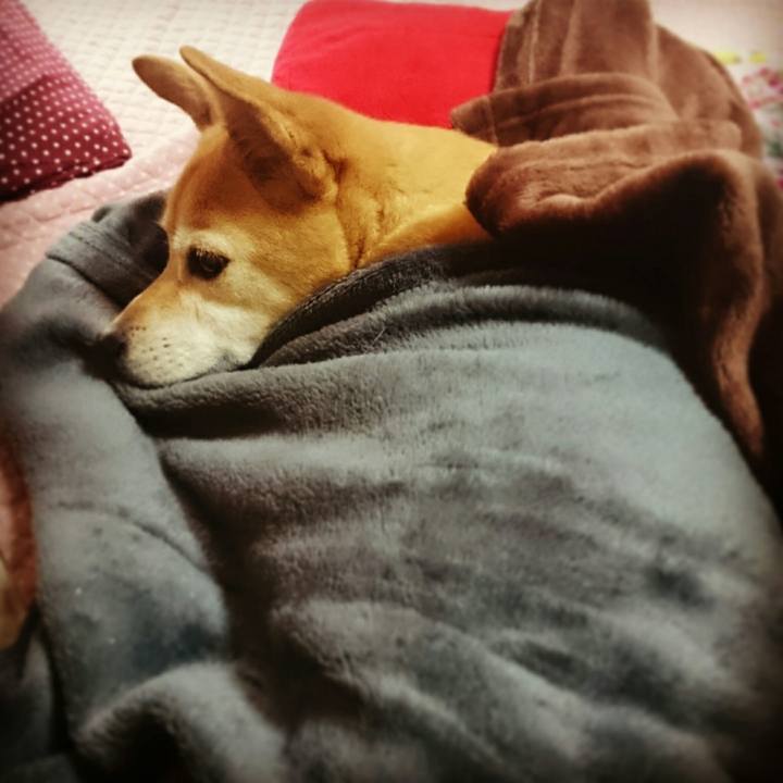 Cdb6e4bb c146 4536 b91b 89dad6d28426