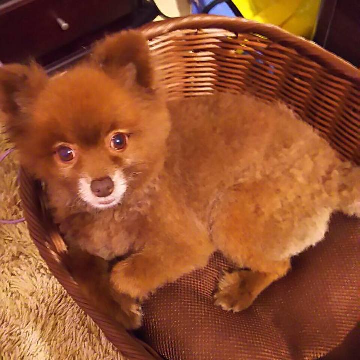 Cdb7b538 6feb 4a74 87fa c95a9ee7ef8f