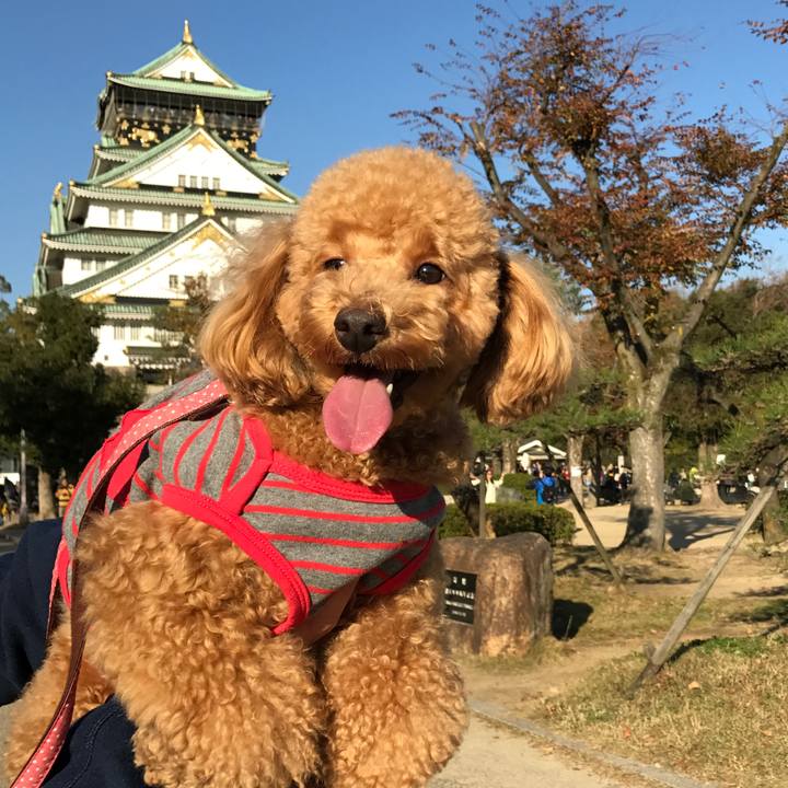 Cdb7c715 73d9 4ae7 92b6 c9a12a27aebf