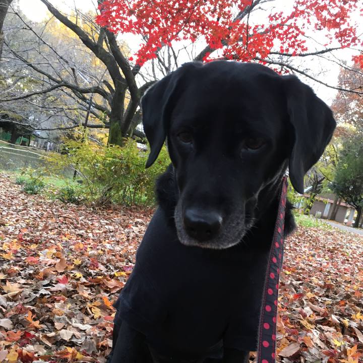 Cdb7c8d2 4366 4c14 9c7a a84af9fde9aa