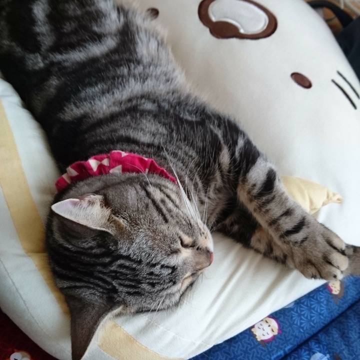 Cdb7d6c5 218e 4c14 9070 fd481d6d6010