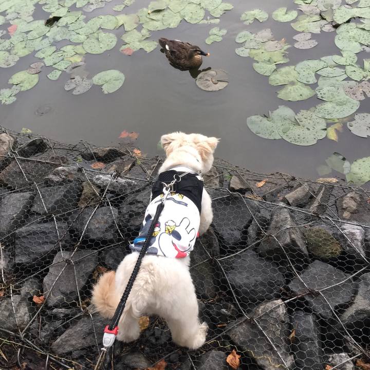 Cdb7dd45 b096 4bcd 992f c17d4b43741c