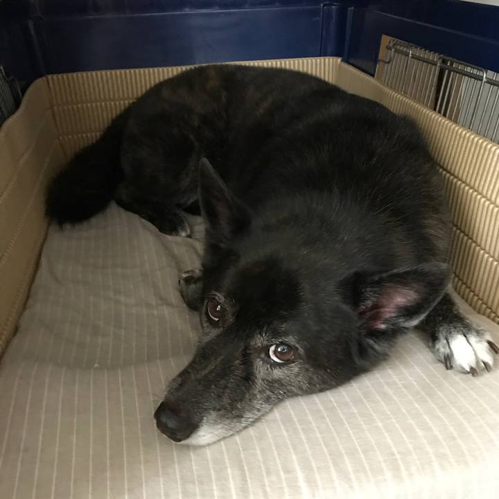 Cdb8198d 9d01 4b33 8131 4a1032e153f4