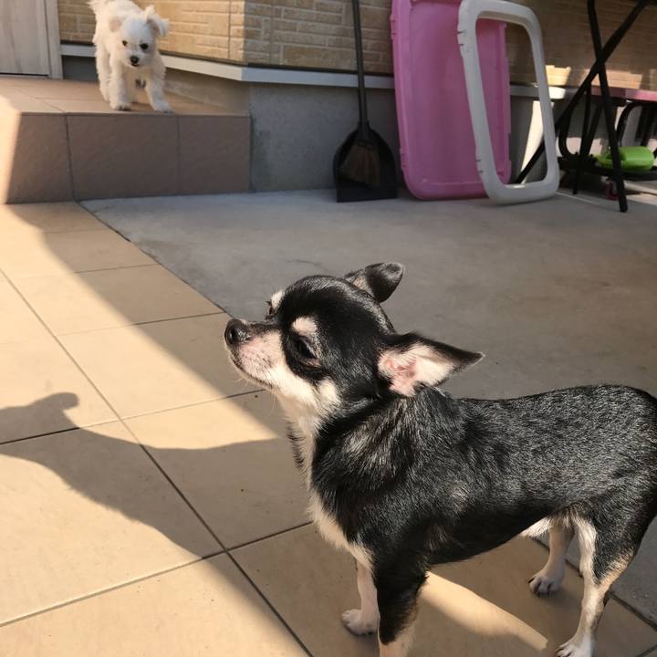 Cdb86ffd 9dba 499f b2f3 6ab5b09cde83