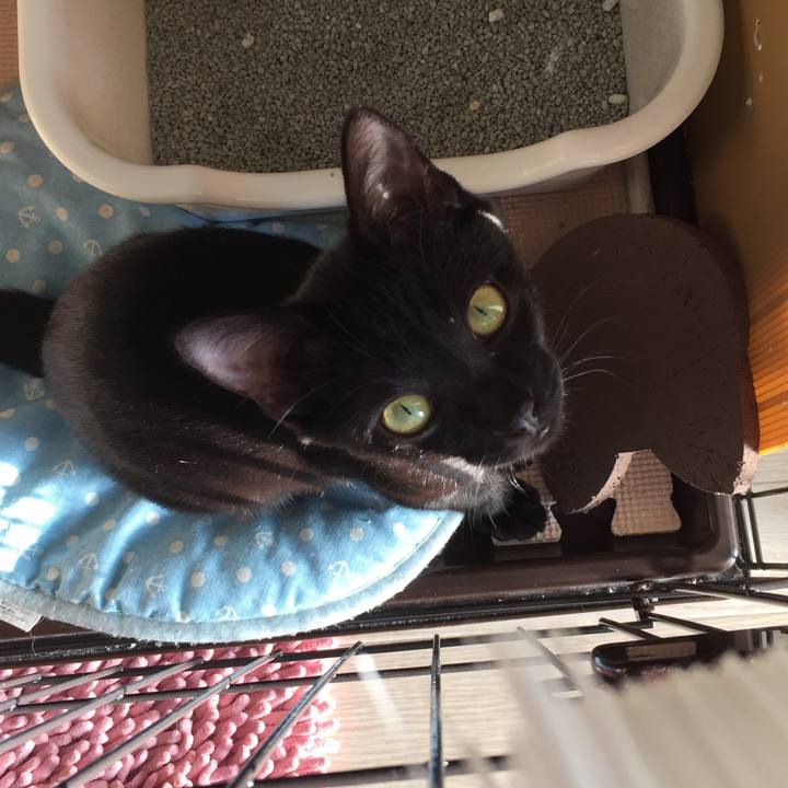 Cdb9d353 d368 41c1 9c5d 366a5f7f5761