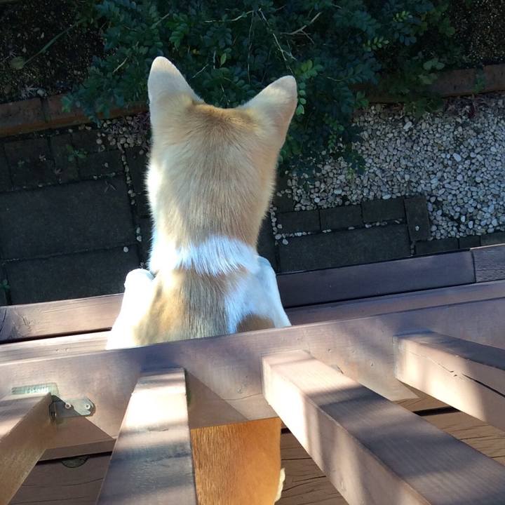 Cdba04c3 2f1d 43a7 8b09 48bb6daee24b