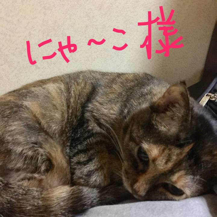 Cdba2663 5e7f 42ae 8632 ed67b6d0a3f2