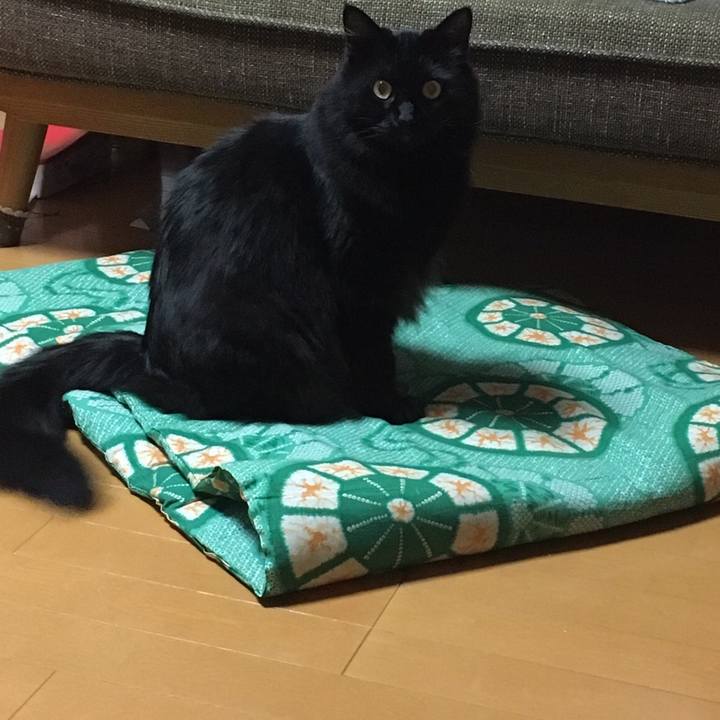 Cdba587b bc26 4008 9615 8dca99e0399b