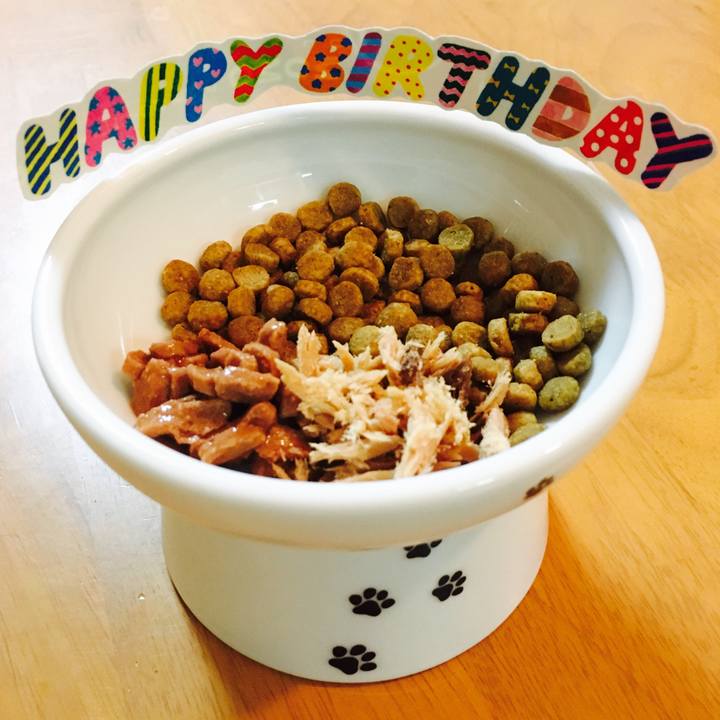 Cdbaf43c 90de 4c6c 8f2d 6987455c796f