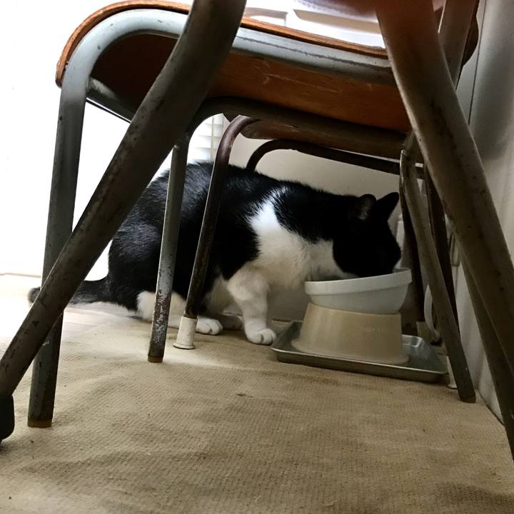 Cdbb019c 4c4f 4b73 b677 7b65367a945e