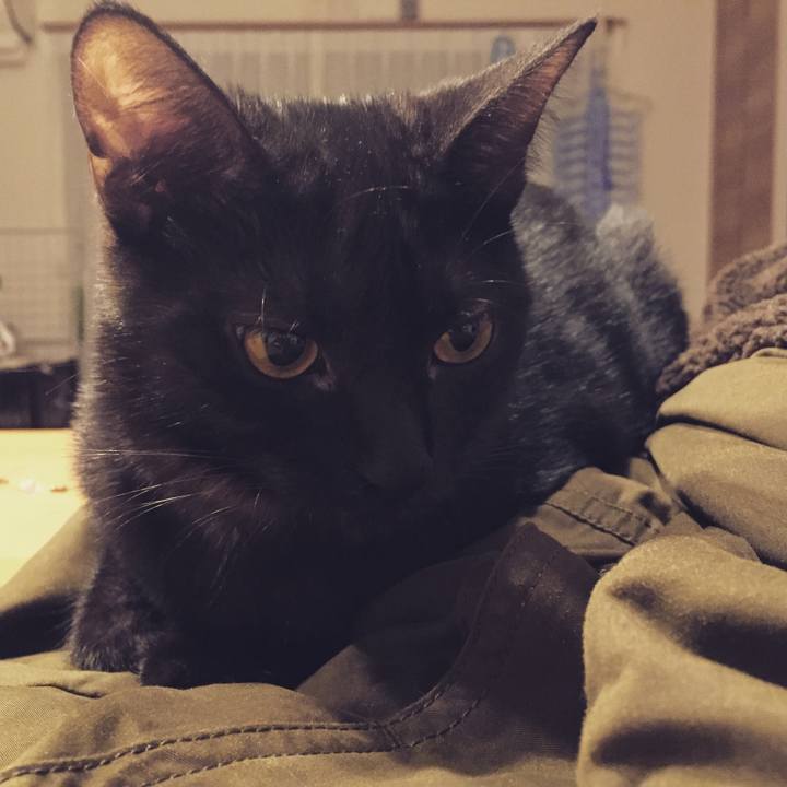 Cdbb14bc bde5 4cc1 807c 3206b412744f