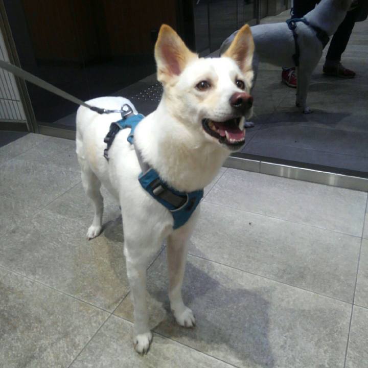 Cdbb6b4f 3f49 4a42 b9bc f6a9ac7b4f8d