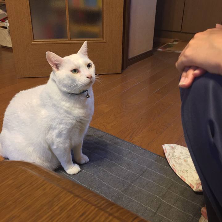 Cdbc3214 53e6 47b8 b18f b4169ce84bb9