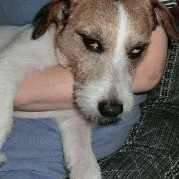 Cdbc3af9 047a 4831 ae25 ff0825e46f94