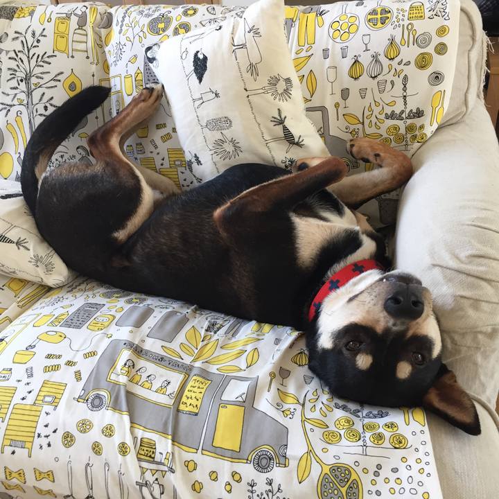 Cdbdb444 867d 4bff b0a5 71199cfdbdfd