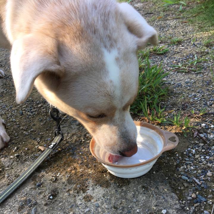 Cdbdd473 3b03 41cf a6fe 30fa9afdf448