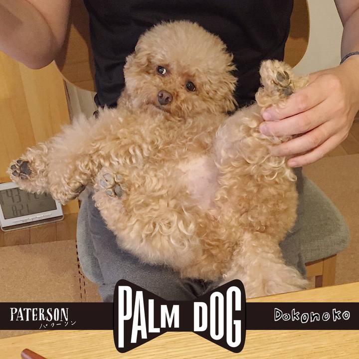 Cdbe1c7f df93 463e 992a 943deb46f18d