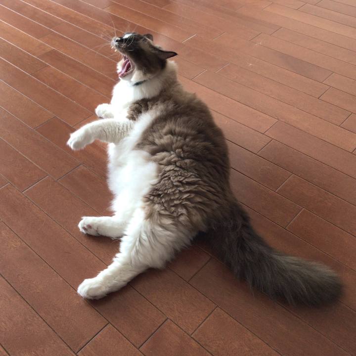 Cdbef857 8cf6 4300 90c4 657ce29b2d57