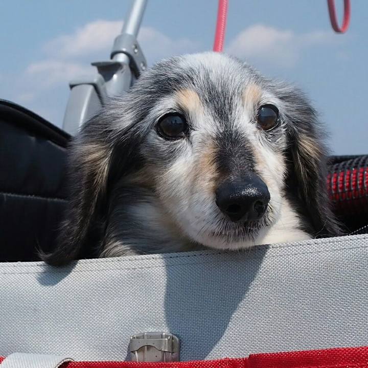 Cdbf514f 60f0 4eed a170 7374d872c6fd