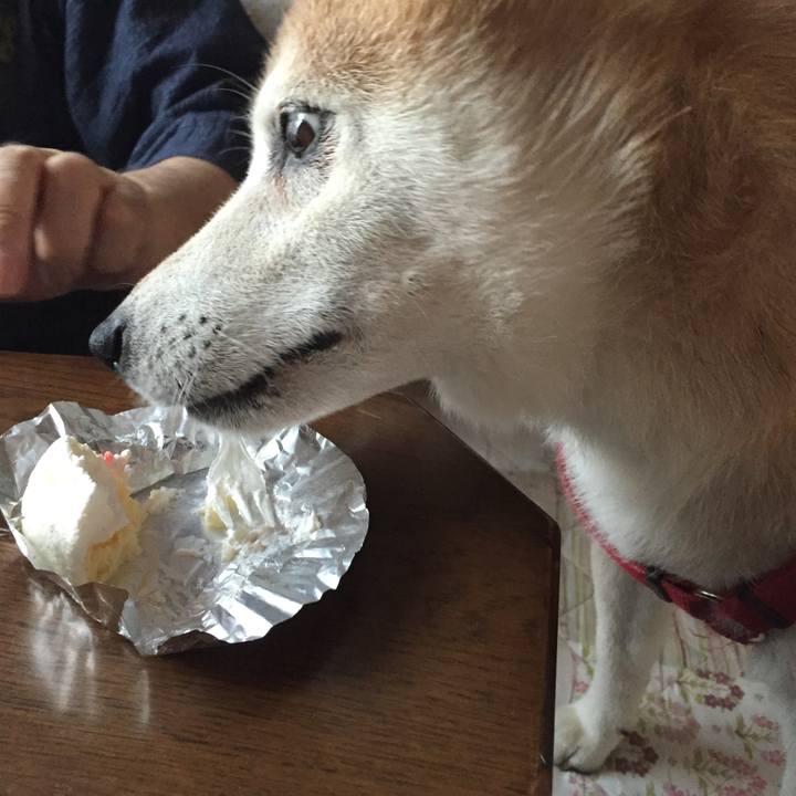 Cdc06547 5d0c 44d6 a1d0 edc6552df4d7