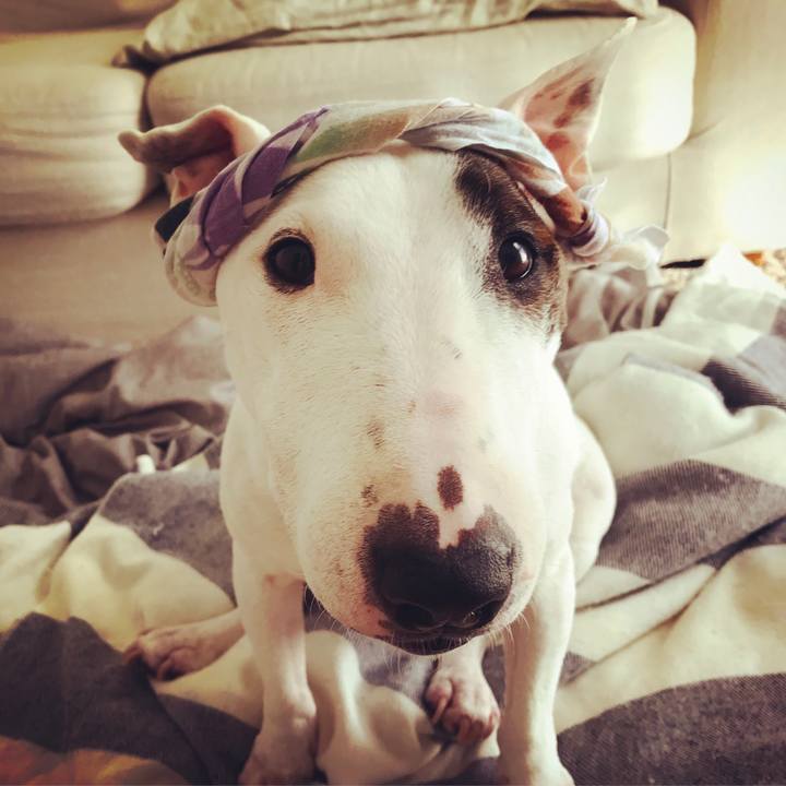 Cdc170d4 af33 4c49 9008 274925331bcc