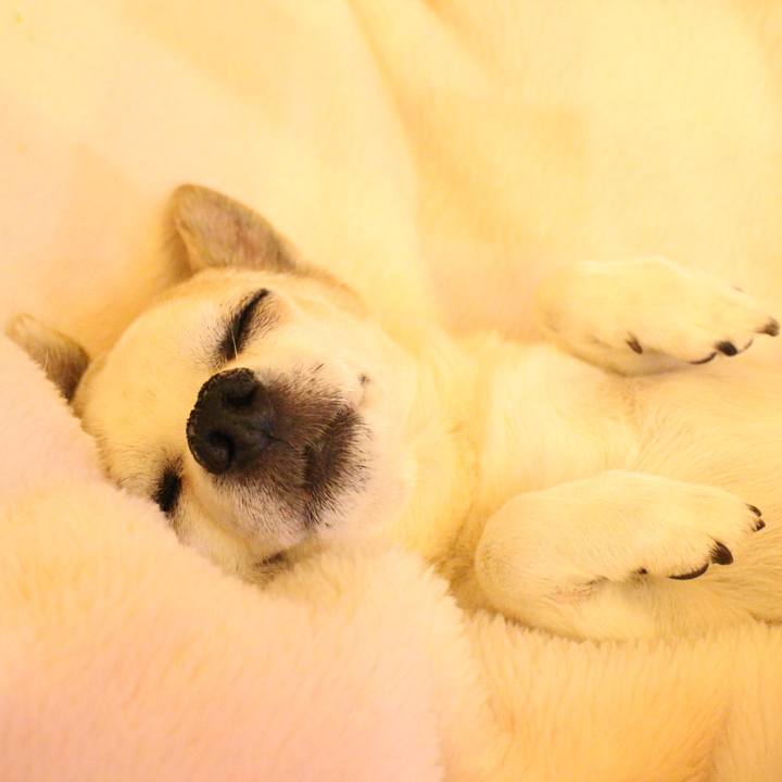 Cdc18eea e58b 4cc8 852f 03ac67b836ad