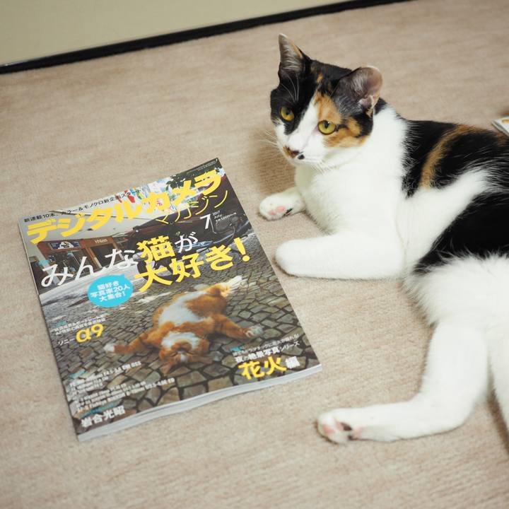 Cdc241f7 a3cf 4acd a4ff e62797df44ff