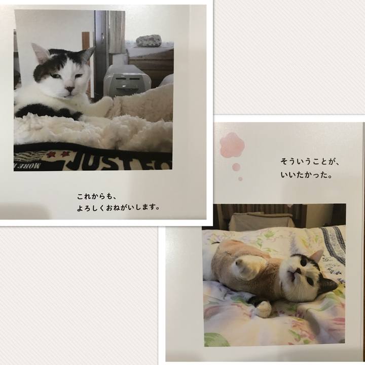 Cdc2a993 6443 4067 b700 5ee2ff9aad96