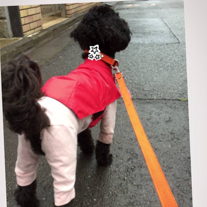 Cdc2fe00 7471 4a11 b9a2 c952af764047