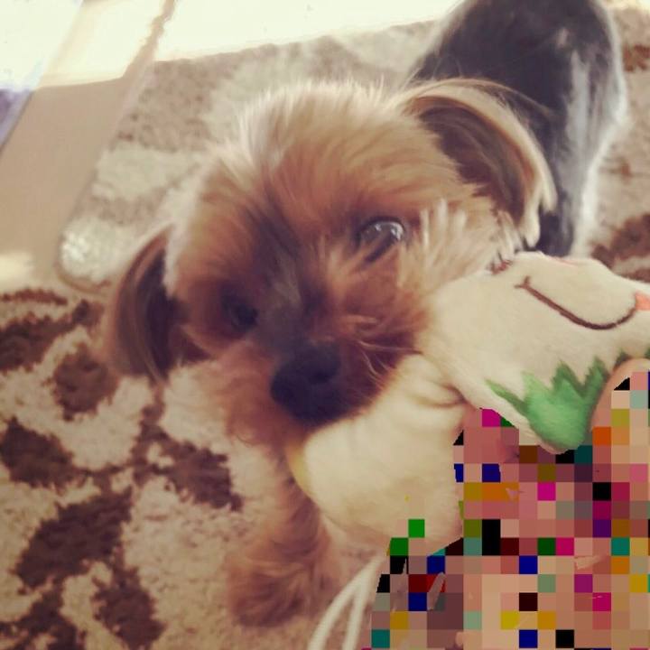 Cdc33110 c58e 468e a2cb 96da67ad55d0