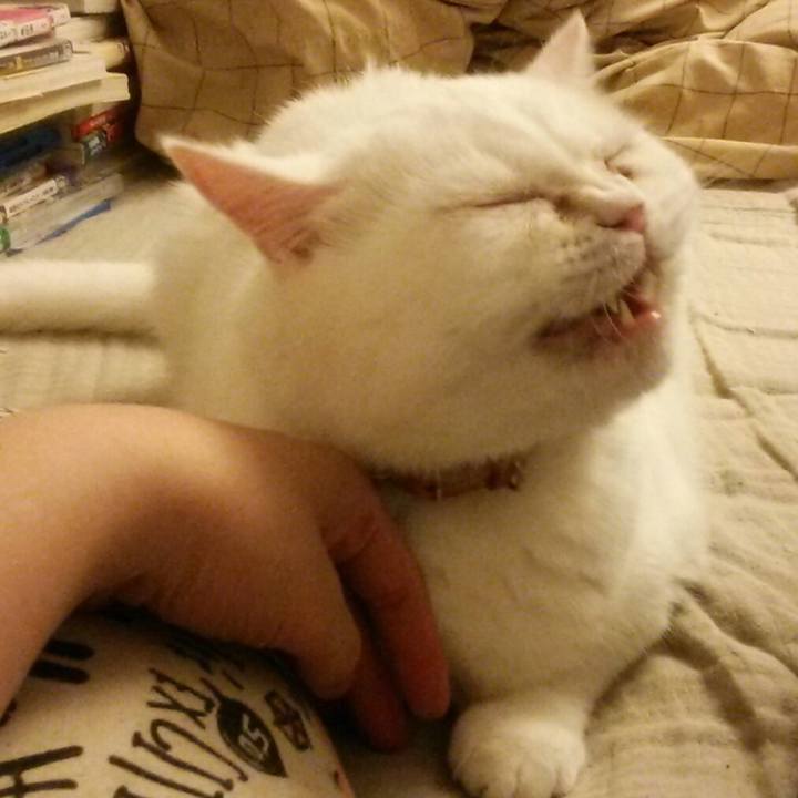 Cdc38d7e 3072 44e1 93a4 8fcd8380b40b