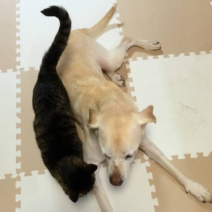 Cdc3b293 6616 4eaf b610 3651fb3e025e