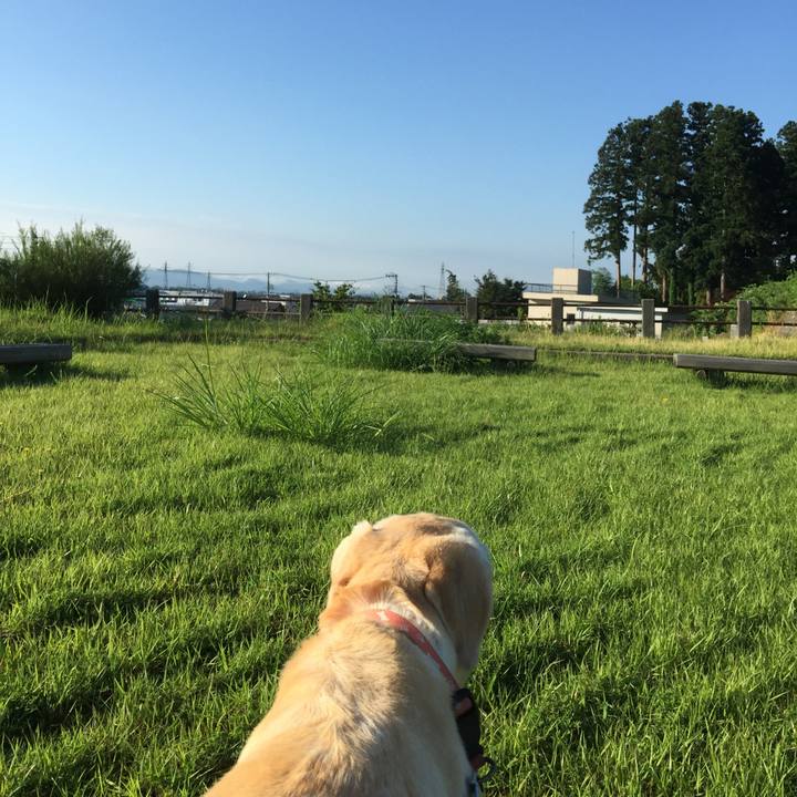 Cdc3c829 cb34 456c 9b72 5a37a1b23127