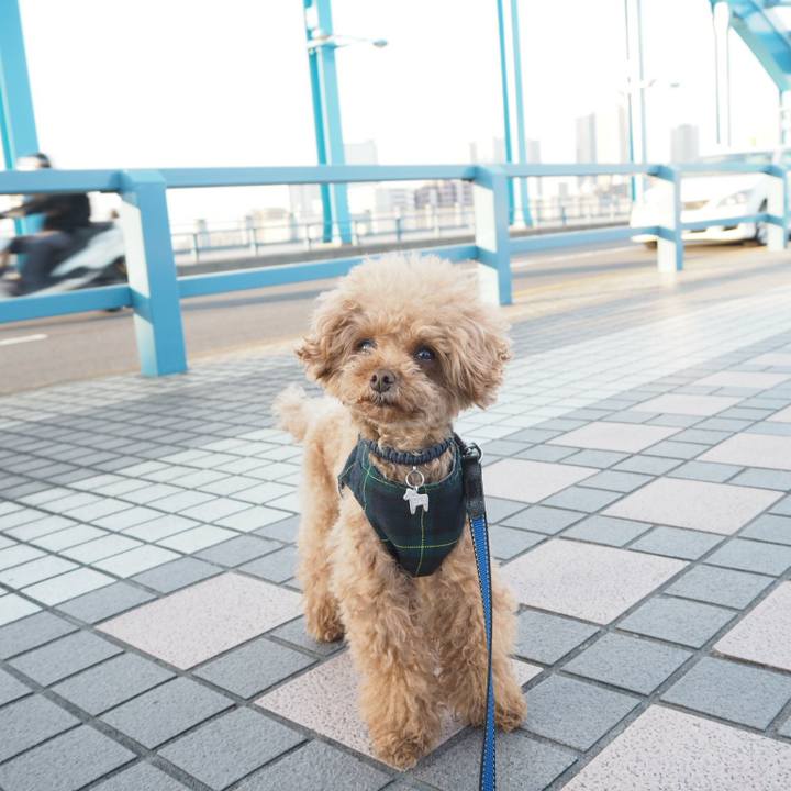 Cdc470e6 cee7 431e 9892 921b8a7b27cc