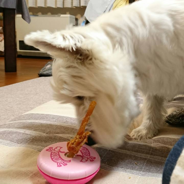 Cdc471b9 529a 40cb b76e e6df958d664f