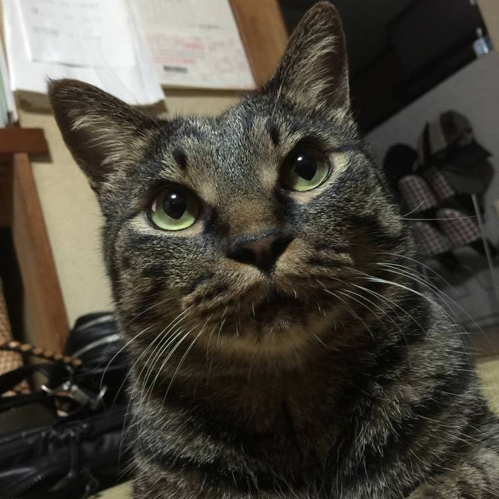 Cdc4dec6 799c 4a3d 91ba 5f3ca00657a8