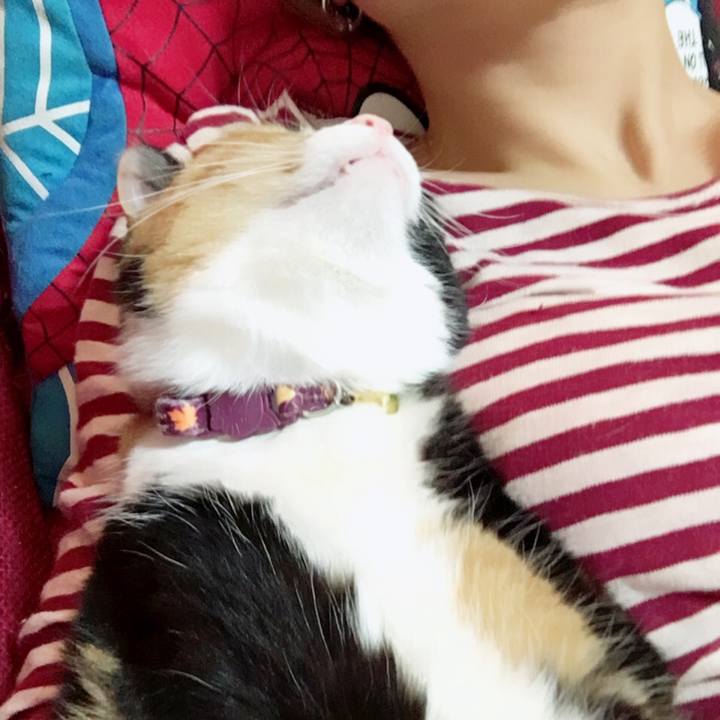 Cdc56c9f a85a 4014 8178 d56f1322a0cb