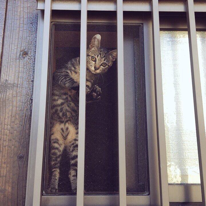 Cdc5fd7c f6b4 413b 9777 75493c5cac29