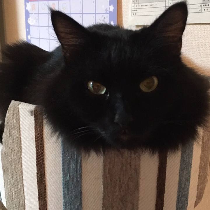 Cdc67746 425e 4a55 99f8 5a4e6a6f4df4