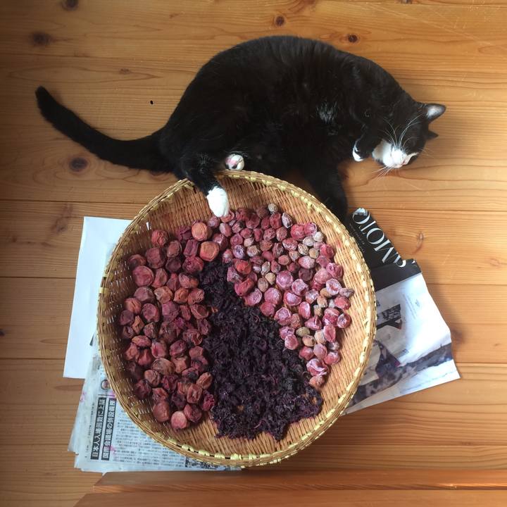 Cdc6df02 cccd 4a5f b9b5 265d787da811