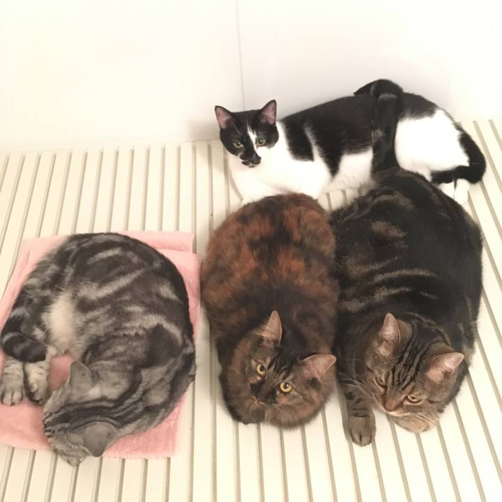 Cdc7888c 49f3 41e2 afe5 ceaf9ef34790