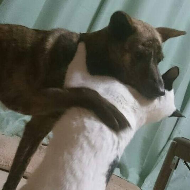 Cdc798b1 0a84 4b3d a657 a2b585159cc3